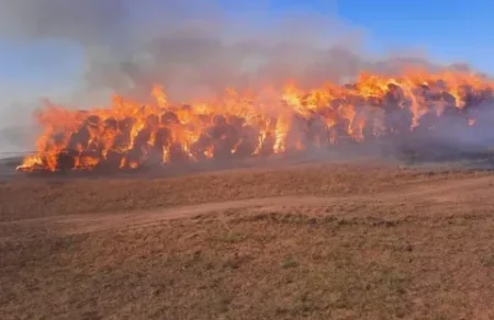 Қызылорда облысында 800 бау шөп жанып кетті