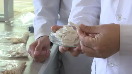 Қызылордалық студенттер күріштің қалдығынан қағаз жасап шығарды