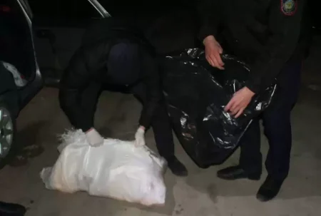 Жезқазған-Қызылорда тасжолында тоқтатылған көліктен атылған киік табылды