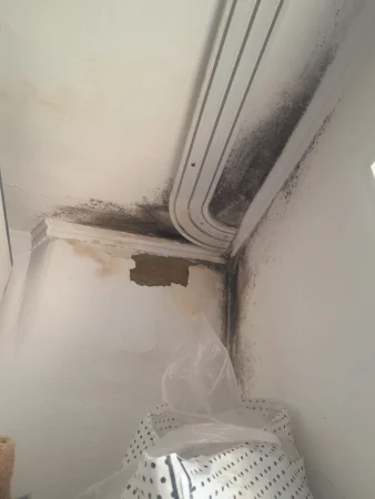 Қызылордада КБИ мөлтек ауданында Мұнайшы №30 шы адресі бойынша Кәріс құбыры сыртына шығып жатқанына қанша жылдыің жүзі болды деп наразылық танытуда тұрғындар