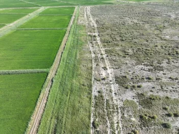 Жерге қатысты заң бұзушылық тар бойынша 1 млн теңге айыппұл салынды