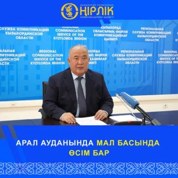 АРАЛ АУДАНЫНДА МАЛ БАСЫНДА ӨСІМ БАР