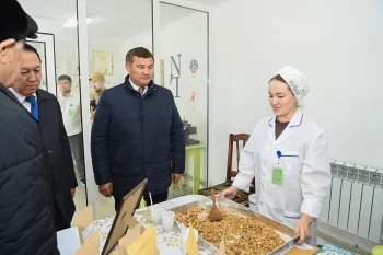 АЙМАҚ БАСШЫСЫ ҚАЗАЛЫ АУДАНЫНДАҒЫ  НЫСАНДАРДЫ АРАЛАДЫ