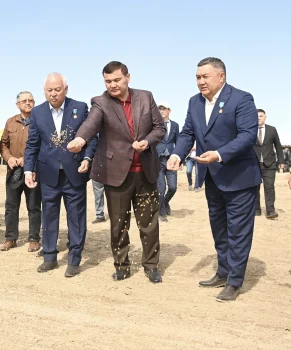 СЫР ӨҢІРІНДЕ АЛҚАПҚА АЛҒАШҚЫ ДӘН СЕБІЛДІ