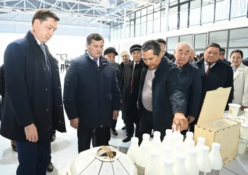 ҚЫЗЫЛОРДАДА «ТҰМАР» ШАҒЫН ӨНЕРКӘСІПТІК АЙМАҒЫ АШЫЛДЫ