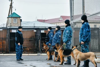 Полицейлердің сенімді серіктері: Қызылорда облысы ПД Кинология орталығының қызметтік иттері жыл басынан  83 қылмыстың ашылуына көмектесті