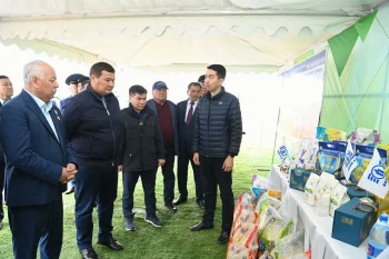 СЫР ӨҢІРІНДЕ ЕГІН АЛҚАБЫНА АЛҒАШҚЫ ДӘН СЕБІЛДІ